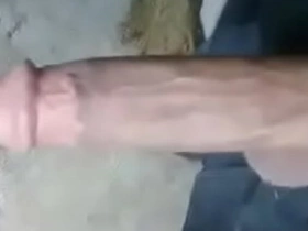 Asian big cock!! free korean gay porn